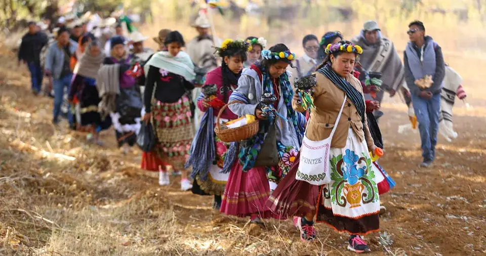 Comunidades cultivadoras de Michoacán — Tzintzuna